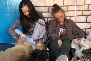 Статья Как три девушки в Ирпене воплотили мечту детства и спасли сотни животных Утренний город. Киев