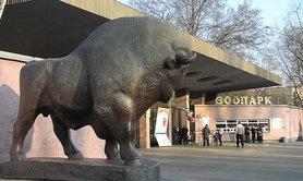 Стаття КГГА выделила 200 млн гривен на первую часть реконструкции Киевского зоопарка Ранкове місто. Київ
