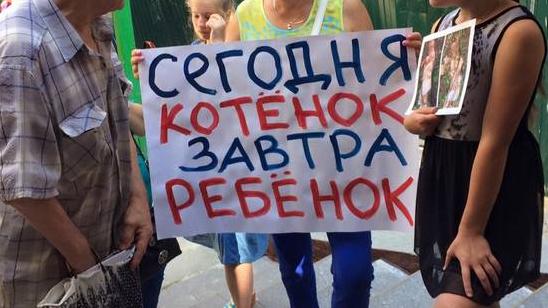 Стаття Жестокое убийство котят в Святошинском районе: киевляне начали протест Утренний город. Київ