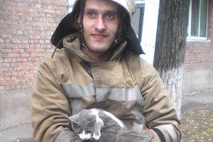 Стаття Под Киевом пожарным пришлось забрать в часть спасенного кота Утренний город. Київ