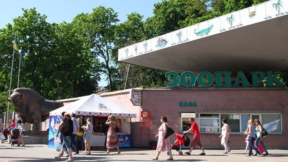 Статья С чего начнется реконструкция киевского зоопарка? Утренний город. Киев