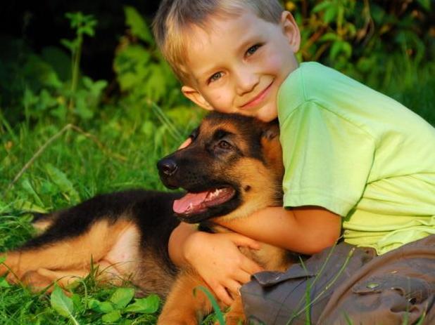 Стаття Собаки-воспитатели: какую породу лучше заводить семьям с маленькими детьми Ранкове місто. Київ