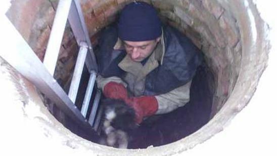 Стаття На Киевщине произошел чудесный случай спасения собаки Утренний город. Київ
