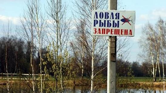 Стаття Жителям Киева и области запретили ловить рыбу Ранкове місто. Київ