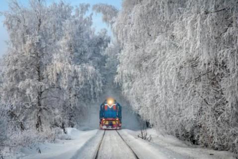 Стаття На новогодние праздники «Укрзализныця» назначила дополнительные рейсы двух скоростных поездов Утренний город. Київ