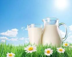Стаття А вы знали, что мы пьём наше любимое молоко вот уже 10 000 лет? Ранкове місто. Київ