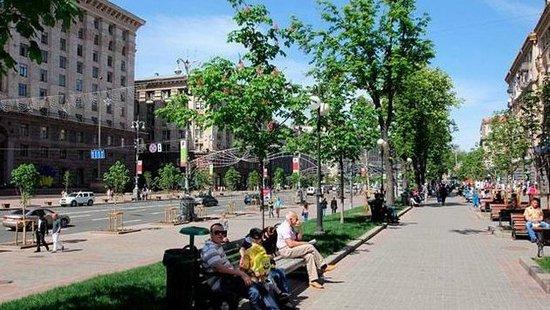 Стаття Киевлянам предлагают выбрать деревья для Крещатика Ранкове місто. Київ