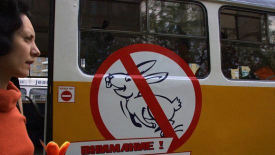 Стаття В столице стартуют рейды на «зайцев» в общественном транспорте Ранкове місто. Київ