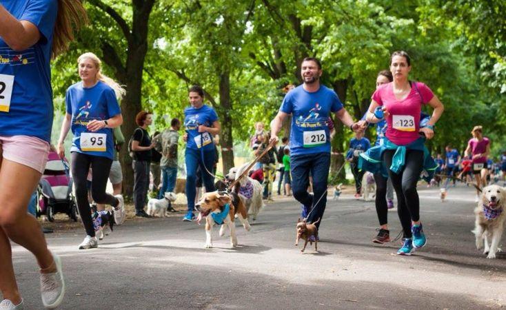 Стаття В парке «Муромец» состоится благотворительный забег с собаками Ранкове місто. Київ