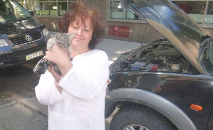 Стаття В Печерском районе спасатели достали котенка из-под капота автомобиля Ранкове місто. Київ