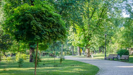 Стаття В столице обустроят новый парк и несколько скверов Ранкове місто. Київ