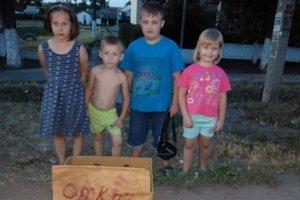 Стаття В Запорожской области дети «открыли бизнес» ради бездомных котов Ранкове місто. Київ