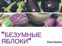 Стаття Овощ, занимающий в нашей пищевой цепочке особенное место Ранкове місто. Київ