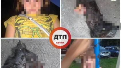 Стаття 6-летняя девочка убивает котят и вынимает из них внутренности Ранкове місто. Київ