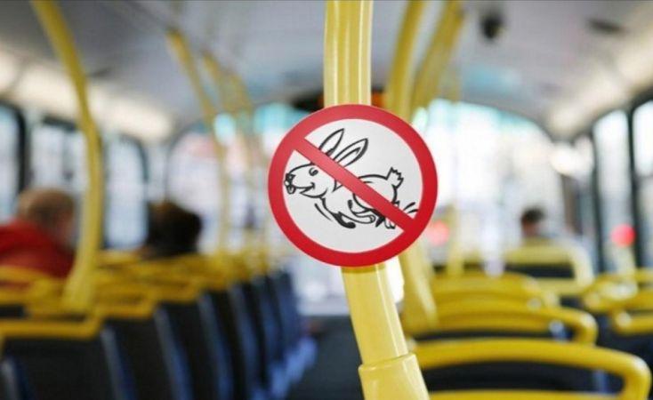 Стаття В общественном транспорте Киева стало меньше зайцев Ранкове місто. Київ