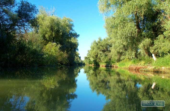 Стаття Европейская программа выделила крупный грант на восстановление природы в дельте Дуная на Одесщине Ранкове місто. Київ