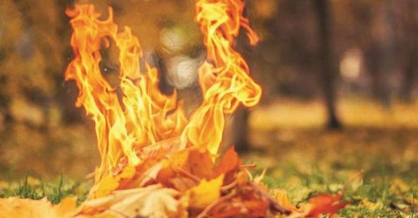 Стаття В Киеве дроны будут «охотиться» на поджигателей опавших листьев Ранкове місто. Київ
