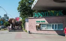 Стаття Когда откроют Киевский зоопарк после реконструкции? Ранкове місто. Київ