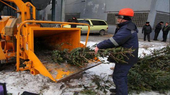 Стаття В Киеве откроют пункты для утилизации новогодних елок Ранкове місто. Київ