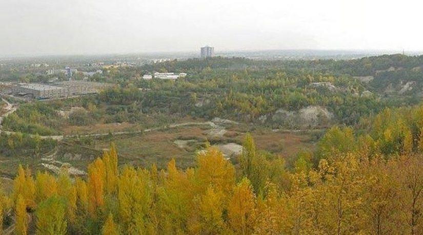 Стаття Суд запретил застройку урочища в парке «Голосеевский» Ранкове місто. Київ