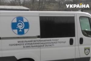 Стаття В Украине заработала «скорая» для служебных собак Ранкове місто. Київ