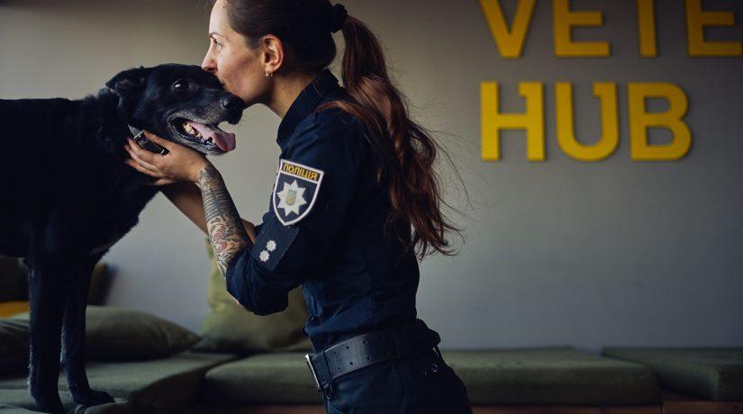 Стаття Veteran Hub, полиция и Happy paw запустили проект поддержки бездомных животных Ранкове місто. Київ