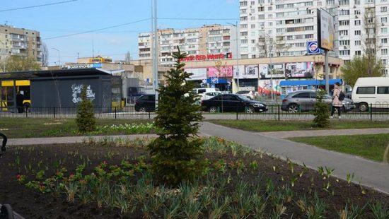 Стаття В Дарницком районе открыли новый сквер Ранкове місто. Київ