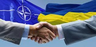 Стаття НАТО не требует от Украины проводить референдум относительно вступления Ранкове місто. Київ