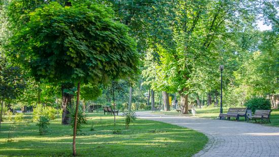 Стаття В столице появится еще шесть новых зеленых зон Ранкове місто. Київ