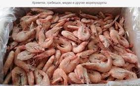 Стаття В Черном море запретили вылов креветок и мидий Ранкове місто. Київ