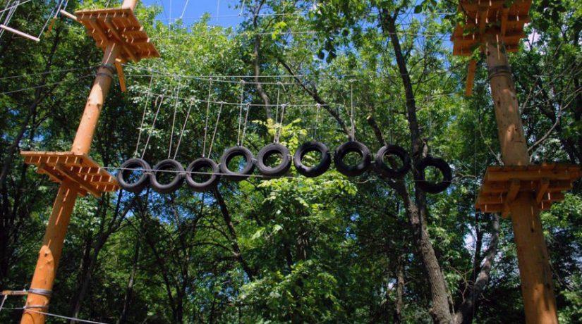 Стаття Инвестор обустроит веревочный парк в Дарницком районе Ранкове місто. Київ