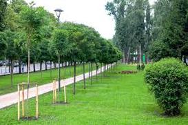 Стаття У Києві відкрили оновлений парк із системою поливу і камерами спостереження Ранкове місто. Київ