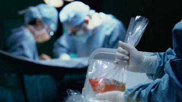 Стаття Программа трансплантации заработает до конца текущего года и постепенно заменит лечение за рубежом Ранкове місто. Київ