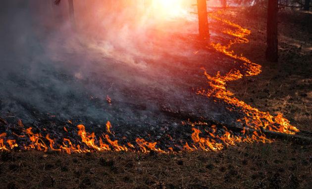 Стаття Катастрофические пожары в Сибири останавливают добычу нефти Ранкове місто. Київ