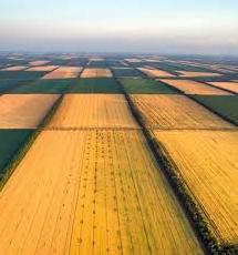 Стаття В Україні запрацював сайт про земельну реформу з усіма відповідями Ранкове місто. Київ
