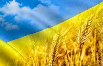 Стаття Украина обновила рекорд по урожаю зерновых Ранкове місто. Київ