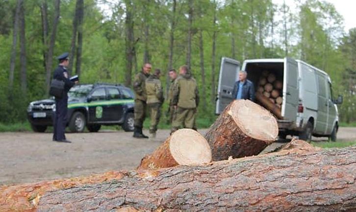 Стаття На Донеччині ветерани АТО почали боротьбу з «чорними лісорубами» Ранкове місто. Київ