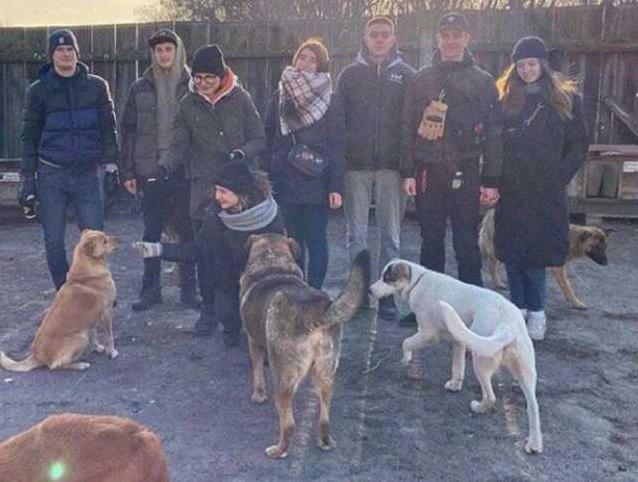 Стаття На Київщині активісти завітали до притулку для тварин Ранкове місто. Київ