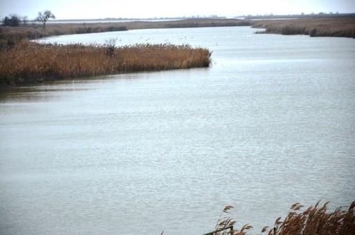 Стаття В Одесской области обсуждали возрождение умирающего озера Сасы Ранкове місто. Київ