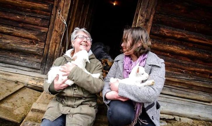 Стаття Переселенка з Донбасу заснувала козячу ферму в Карпатах Ранкове місто. Київ
