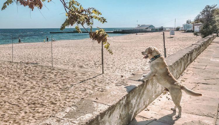 Стаття Суд запретил уменьшать протяженность пляжа в Одессе Ранкове місто. Київ