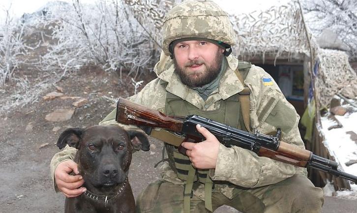 Стаття Військова лікарка 5 годин оперувала пораненого на передовій фронтового собаку Ранкове місто. Київ