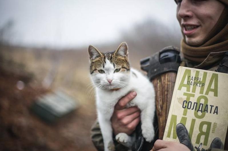 Стаття На День кота військові показали фото пухнастих побратимів Ранкове місто. Київ