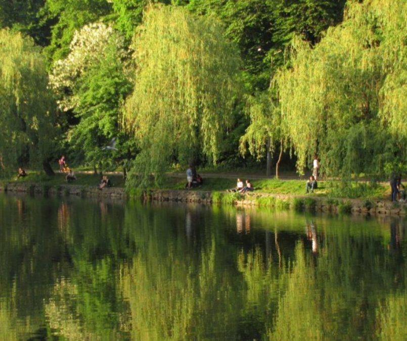 Стаття Навколо Києва планують облаштувати 17 буферних парків Ранкове місто. Київ