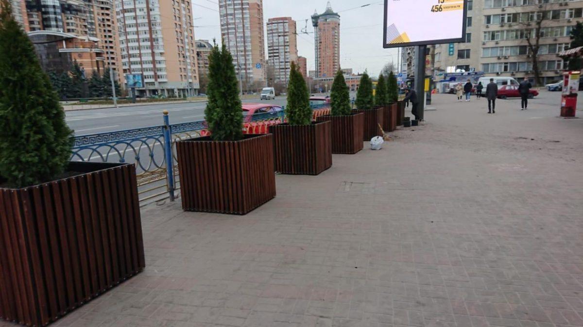 Стаття У Києві на Печерську з’явилися декоративні дерева (ФОТО) Ранкове місто. Київ