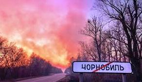 Стаття Фото дня. Від пожежі у Чорнобилі врятували білченят Ранкове місто. Київ