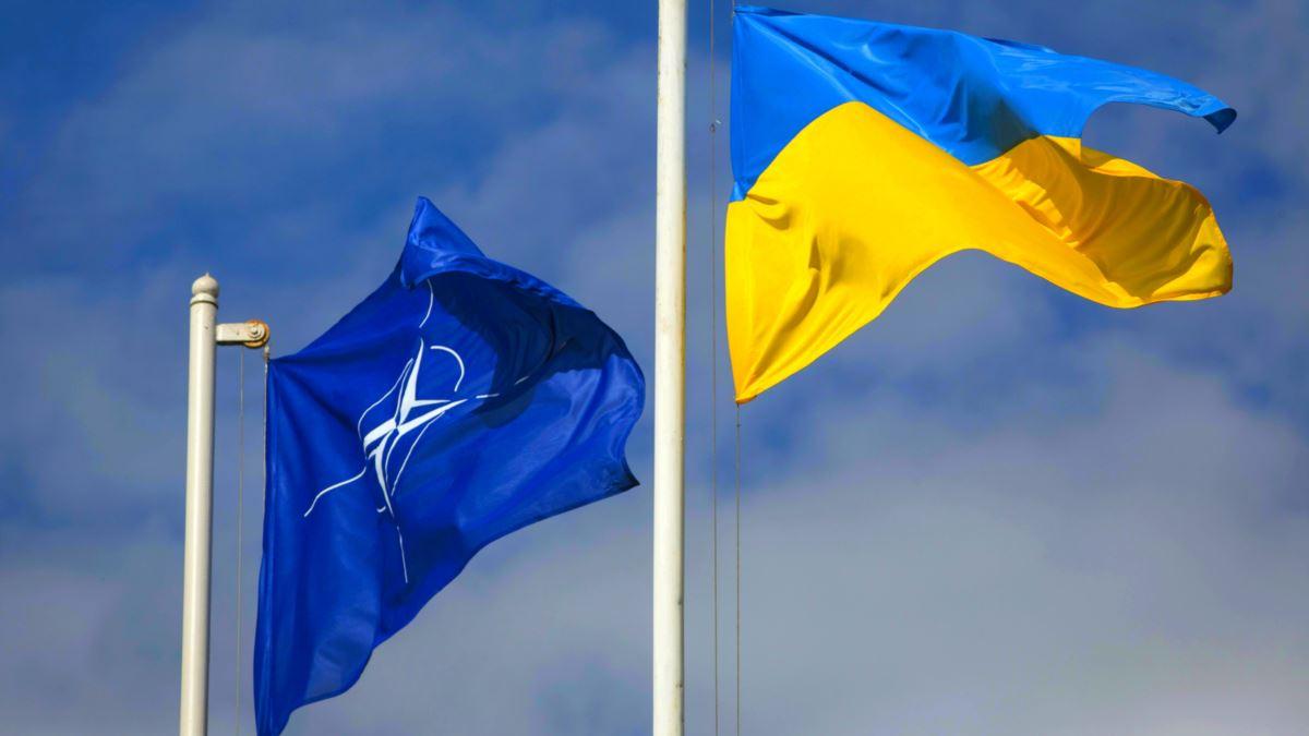 Стаття В Україні стартував онлайн-курс про НАТО для всіх охочих Ранкове місто. Київ