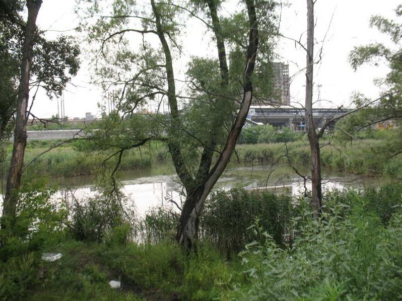 Стаття У Києві зроблять заказником долину малої річки Ранкове місто. Київ