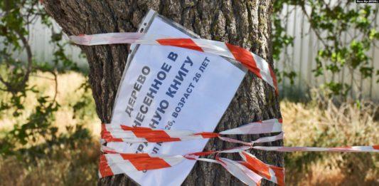 Стаття В Севастополе оккупанты вырубают сотни деревьев: будут строить дома для военных Ранкове місто. Київ