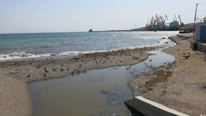 Стаття Море в Коктебеле загрязнено нечистотами — названа причина Ранкове місто. Київ